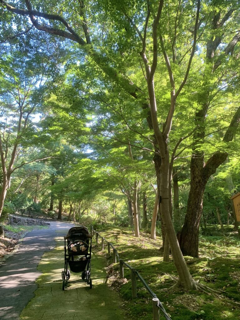 音風景百選の植物園内