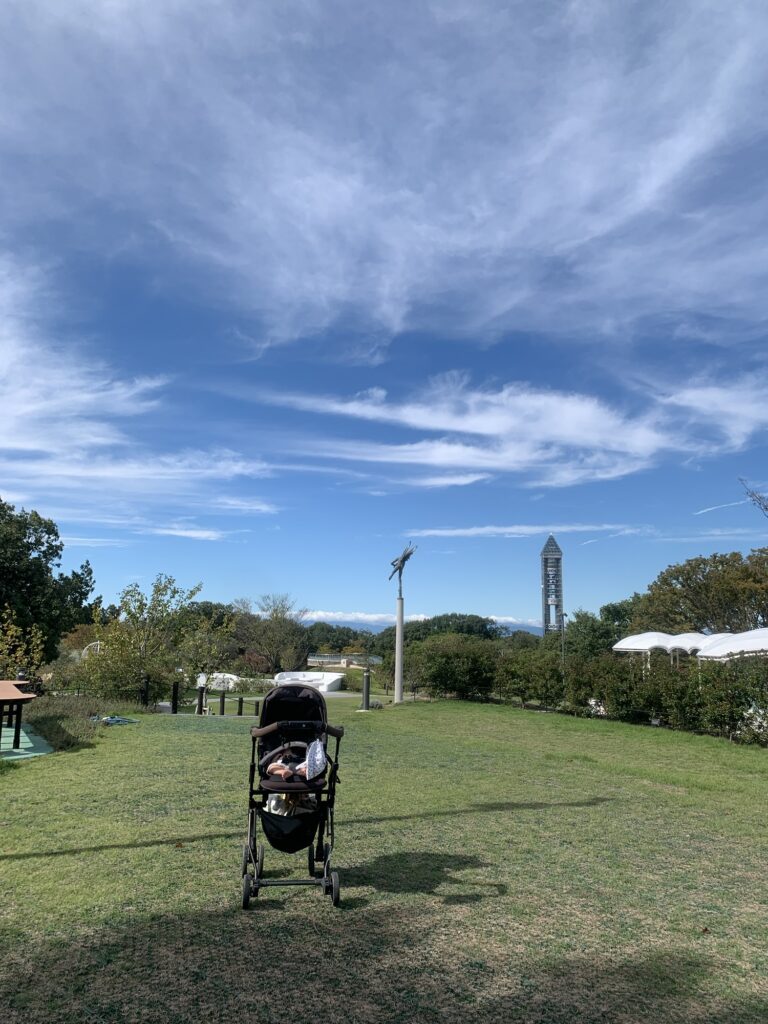 滑り台から動物園方面を見た写真。写真右奥の白い屋根が子供トイレ+多目的トイレ。